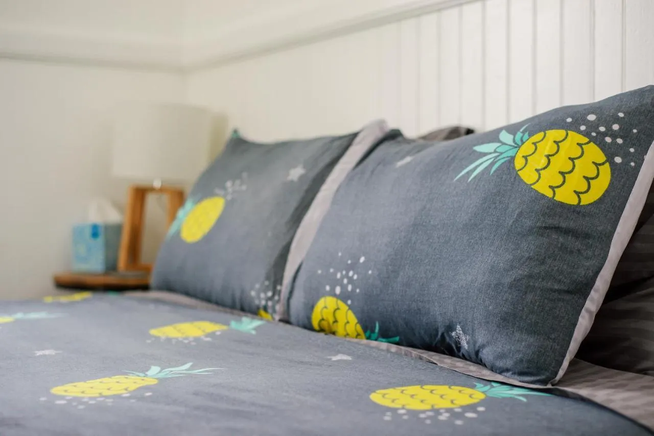 New - Pineapple Loft - Entire House Downtown Hilo With Ac Villa Holiday home