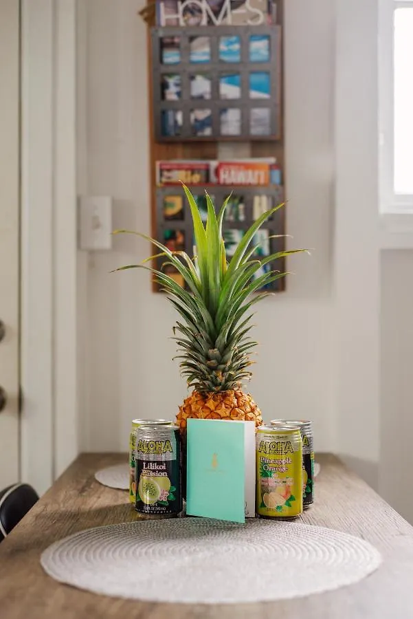 New - Pineapple Loft - Entire House Downtown Hilo With Ac Villa United States