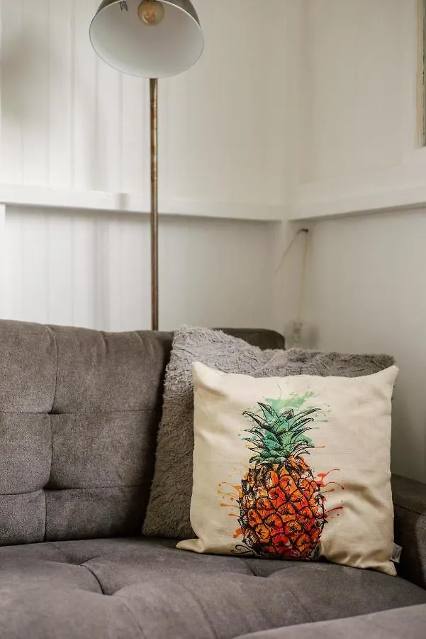 New - Pineapple Loft - Entire House Downtown Hilo With Ac Villa 0*,